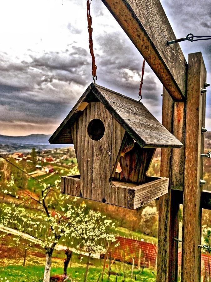 Vineyard Cottage Podrzaj Otočec Esterno foto