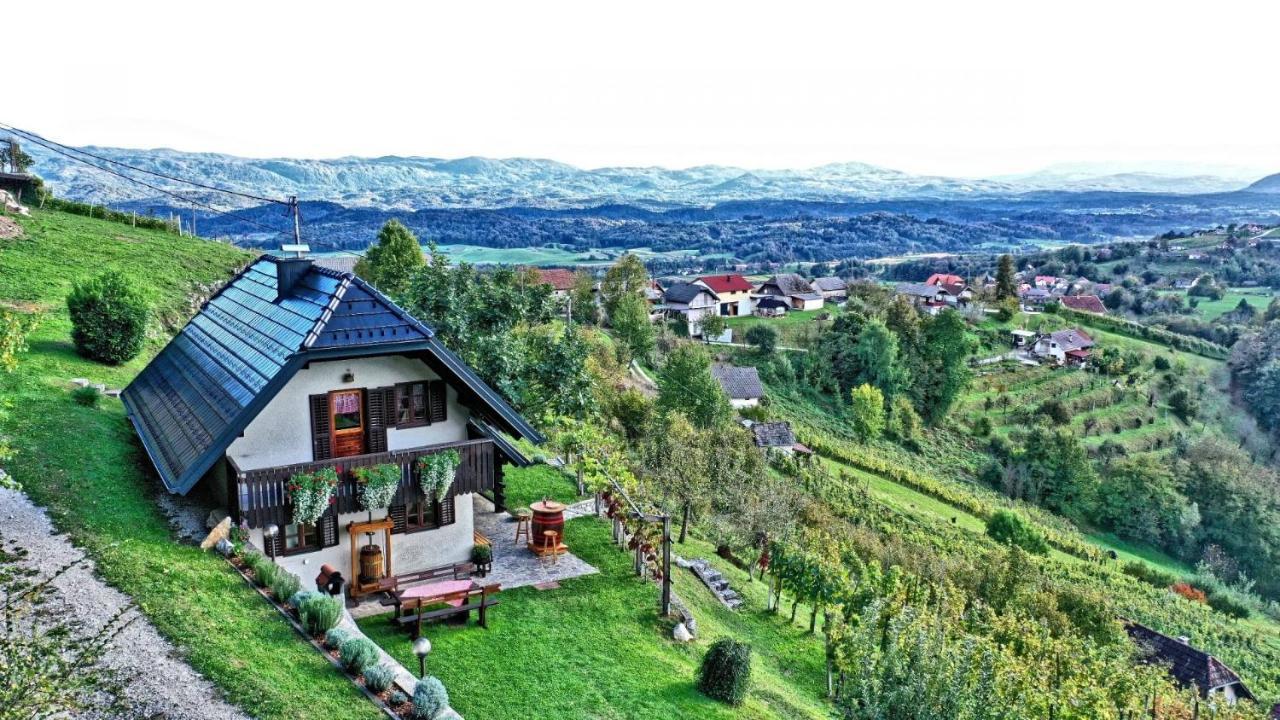 Vineyard Cottage Podrzaj Otočec Esterno foto